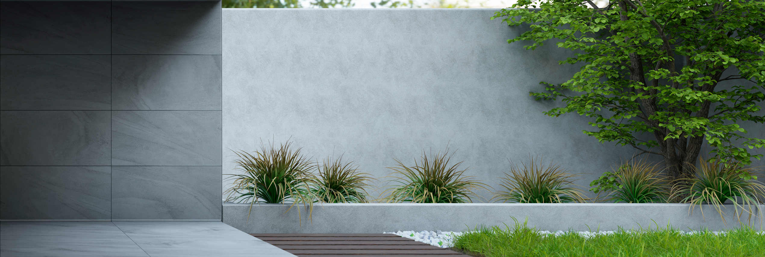 Modern home interior design with zen garden. Luxury house with empty concrete wall with sun light, green tree and outdoor plants.